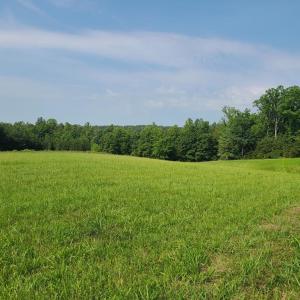 Photo #84 of 1562 Rocks Church Rd, Pamplin, VA 114.1 acres