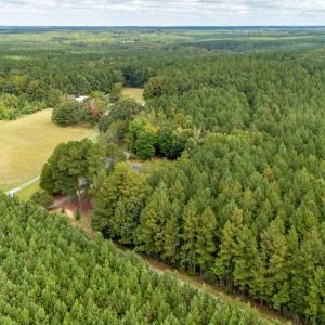 Photo #52 of 2891 Woodsdale Drive, Alberta, VA 2.0 acres