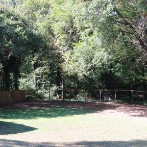 Photo #37 of 1003 Second Ave. Ext,, Farmville, VA 0.6 acres
