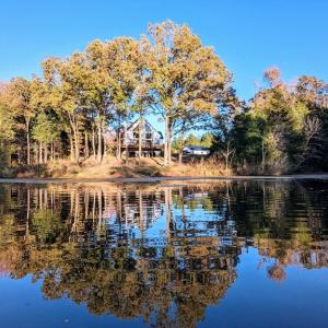 Photo #3 of 1219 Schultz Mill Road, Meherrin, VA 40.7 acres