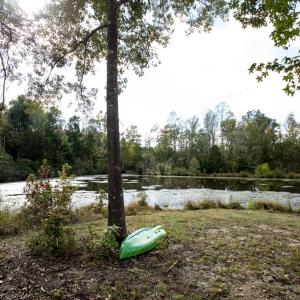 Photo #49 of 1219 Schultz Mill Road, Meherrin, VA 40.7 acres