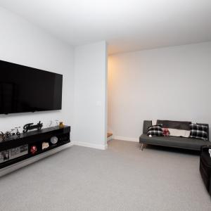 Basement family room