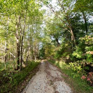 Photo #77 of 1219 Schultz Mill Road, Meherrin, VA 40.7 acres