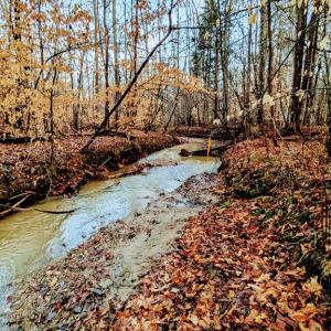 Stream on the property