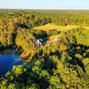 Photo #93 of 1219 Schultz Mill Road, Meherrin, VA 40.7 acres