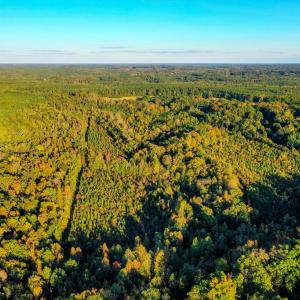 Photo #97 of 1219 Schultz Mill Road, Meherrin, VA 40.7 acres