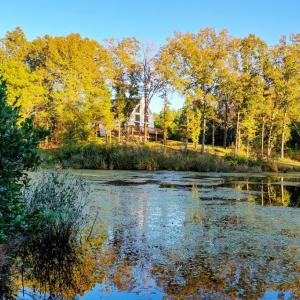 Photo #99 of 1219 Schultz Mill Road, Meherrin, VA 40.7 acres