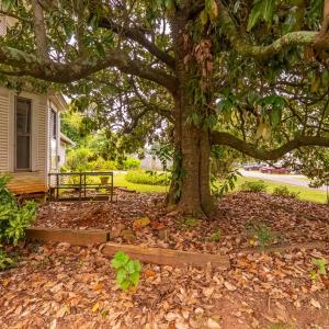 Photo #40 of 304 West Sycamore Street, Chase City, VA 0.3 acres