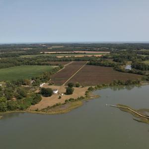 Photo #11 of 2598 CHERRYSTONE RD, CAPE CHARLES, VA 94.7 acres