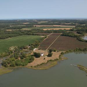 Photo #16 of 2598 CHERRYSTONE RD, CAPE CHARLES, VA 94.7 acres