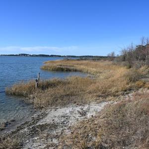 Photo #76 of 2598 CHERRYSTONE RD, CAPE CHARLES, VA 94.7 acres