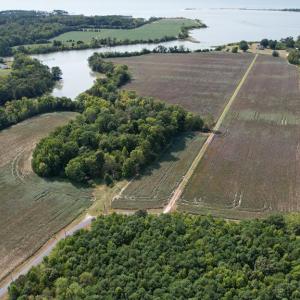 Photo #9 of 2598 CHERRYSTONE RD, CAPE CHARLES, VA 94.7 acres