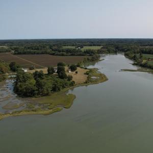 Photo #14 of 2598 CHERRYSTONE RD, CAPE CHARLES, VA 94.7 acres