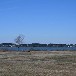 Photo #27 of 2598 CHERRYSTONE RD, CAPE CHARLES, VA 94.7 acres