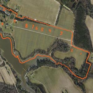 Photo #4 of 2598 CHERRYSTONE RD, CAPE CHARLES, VA 94.7 acres