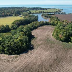 Photo #6 of 2598 CHERRYSTONE RD, CAPE CHARLES, VA 94.7 acres