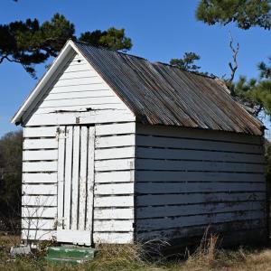 Photo #72 of 2598 CHERRYSTONE RD, CAPE CHARLES, VA 94.7 acres