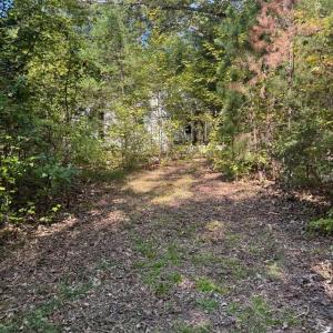 Photo #4 of 9043 Bill Tuck Highway, Virgilina, VA 3.5 acres