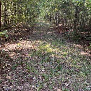 Photo #5 of 9043 Bill Tuck Highway, Virgilina, VA 3.5 acres