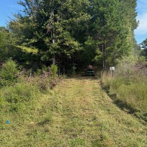 Photo #6 of 9043 Bill Tuck Highway, Virgilina, VA 3.5 acres