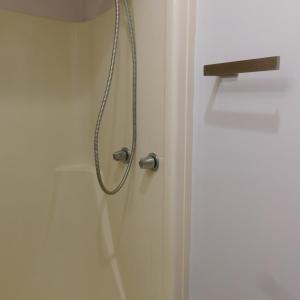 Walk-in  shower on first floor bath
