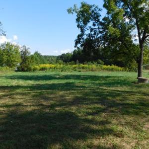 Photo #61 of 838 Crymes Road, Keysville, VA 45.0 acres