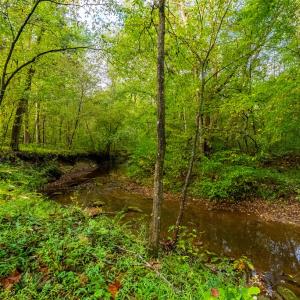 Photo #3 of 213 Deer Run, Farmville, VA 8.0 acres