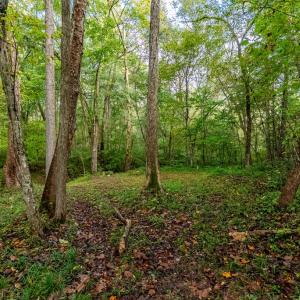 Photo #42 of 213 Deer Run, Farmville, VA 8.0 acres