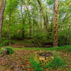 Photo #43 of 213 Deer Run, Farmville, VA 8.0 acres