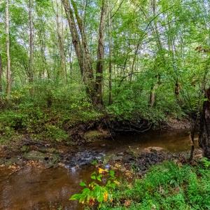 Photo #44 of 213 Deer Run, Farmville, VA 8.0 acres