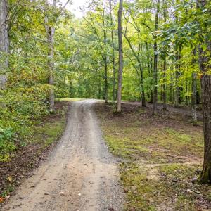 Photo #45 of 213 Deer Run, Farmville, VA 8.0 acres