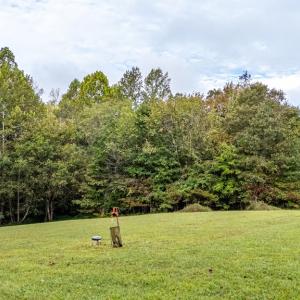 Photo #53 of 213 Deer Run, Farmville, VA 8.0 acres