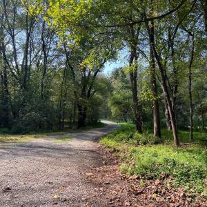 Photo #12 of 12128 Old Chula Rd, Amelia, VA 3.0 acres