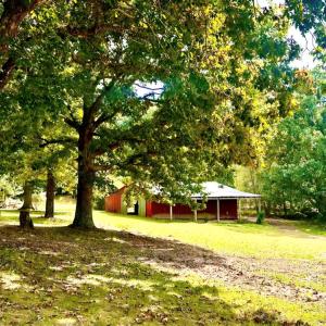 Photo #5 of 205 Hardtimes Rd., Farmville, VA 3.2 acres