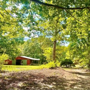 Photo #6 of 205 Hardtimes Rd., Farmville, VA 3.2 acres