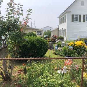 Photo #12 of 4388 LONG BRIDGE ROAD, TANGIER, VA 0.3 acres
