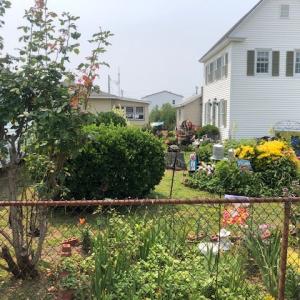 Photo #26 of 4388 LONG BRIDGE ROAD, TANGIER, VA 0.3 acres