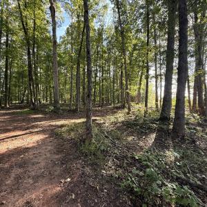 Photo #54 of 12668 Patrick Henry Hwy, Brookneal, VA 4.0 acres