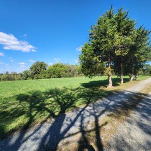 Photo #43 of 542 Ampthill Road, Cartersville, VA 4.0 acres