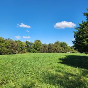 Photo #44 of 542 Ampthill Road, Cartersville, VA 4.0 acres