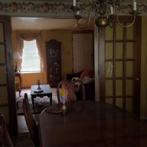 Photo #19 of 308 Randolph St., Phenix, VA 0.3 acres
