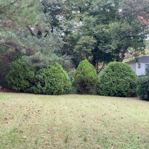 Photo #7 of 308 Randolph St., Phenix, VA 0.3 acres