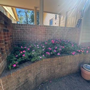 Photo #12 of 733 Morning Star Rd, Appomattox, VA 4.9 acres