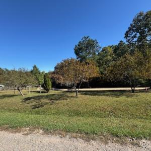 Photo #10 of 827 Wolf Creek Ln, Appomattox, VA 15.3 acres