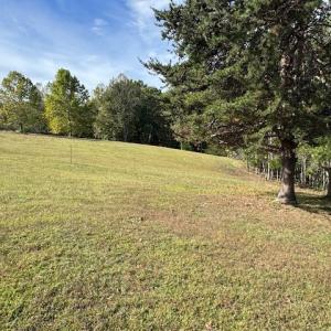 Photo #13 of 827 Wolf Creek Ln, Appomattox, VA 15.3 acres