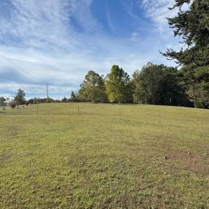 Photo #16 of 827 Wolf Creek Ln, Appomattox, VA 15.3 acres