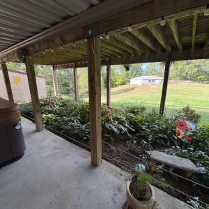 Photo #21 of 827 Wolf Creek Ln, Appomattox, VA 15.3 acres