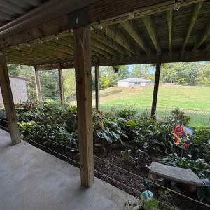 Photo #23 of 827 Wolf Creek Ln, Appomattox, VA 15.3 acres