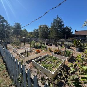 Photo #33 of 827 Wolf Creek Ln, Appomattox, VA 15.3 acres