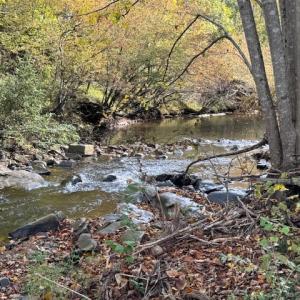 Photo #34 of 827 Wolf Creek Ln, Appomattox, VA 15.3 acres